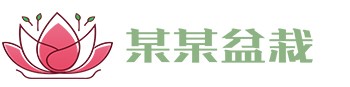 开云网页版-开云（中国）